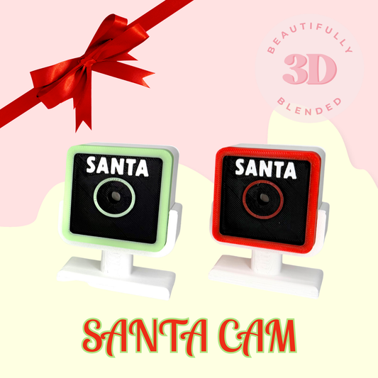 SANTA CAM