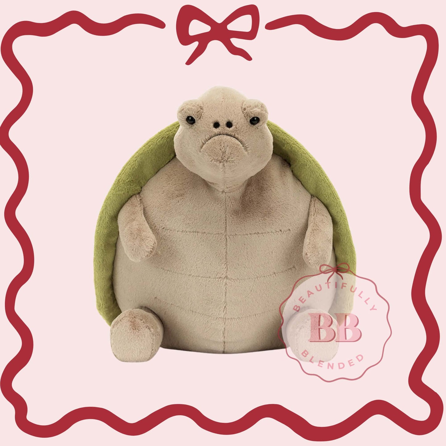 TURTLE PLUSHIE- 2 WEEK WAIT