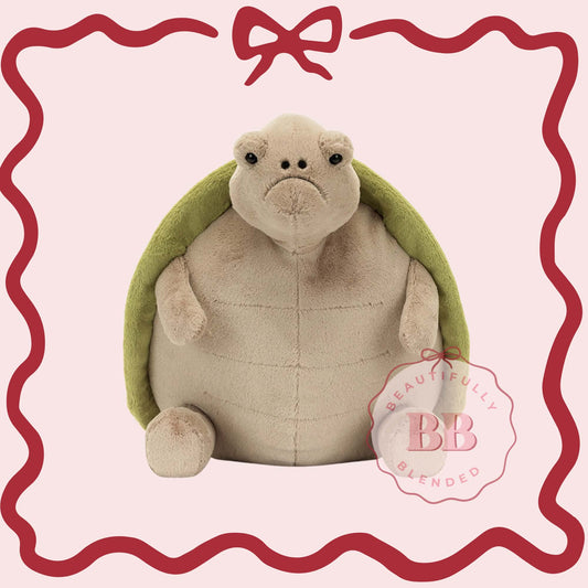 TURTLE PLUSHIE- 2 WEEK WAIT